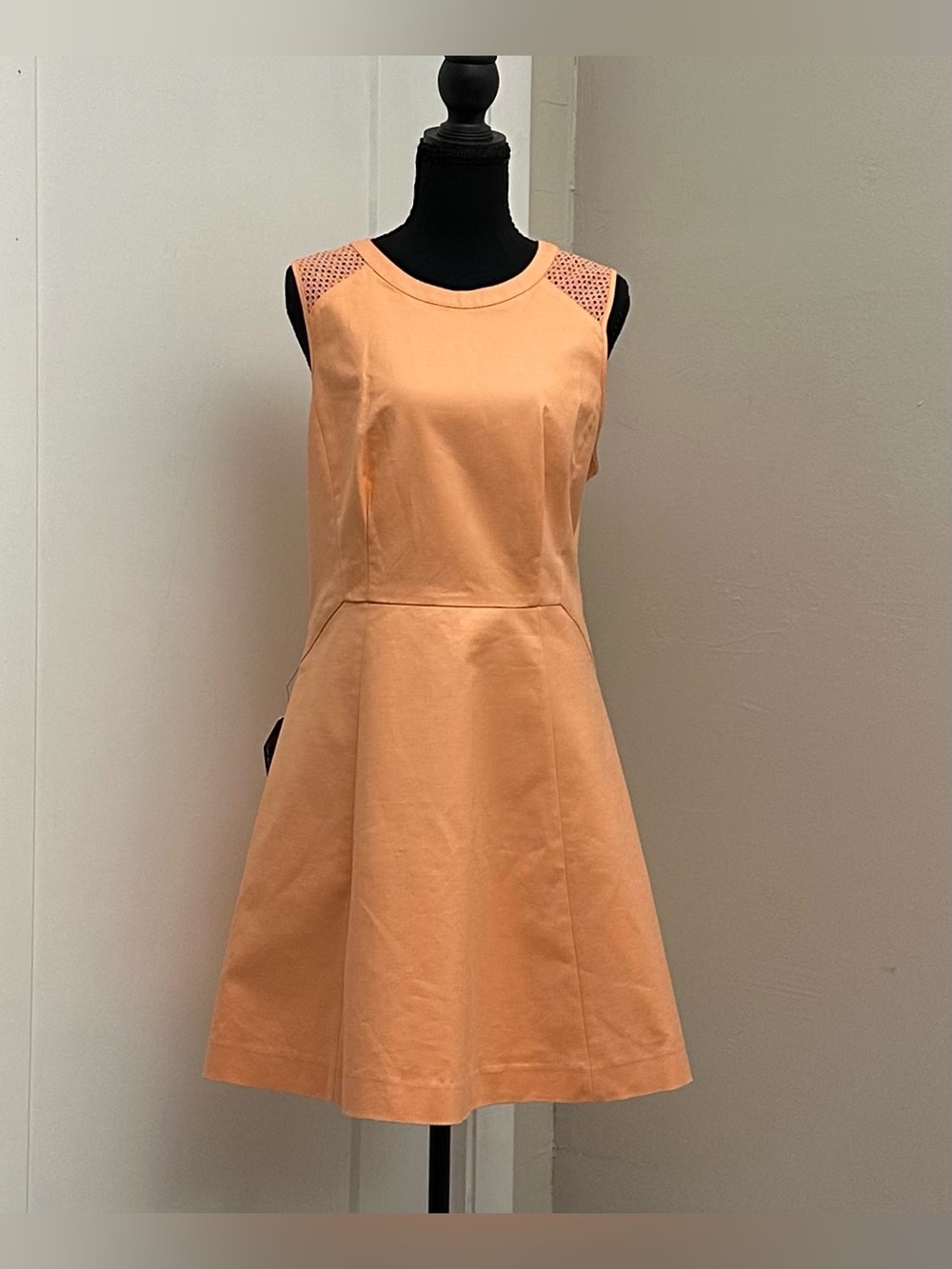 The Limited Peach Sleeveless Fit-and-Flare Mini Dress
